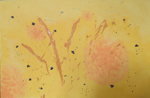 Bees